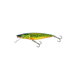 Poisson Nageur Salmo Pike