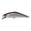 Poisson Nageur Smith D-Contact 50 SP