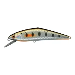 Poisson Nageur Smith D-Contact 63 FES