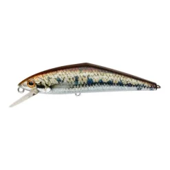Poisson Nageur Smith D-Contact 63 FES