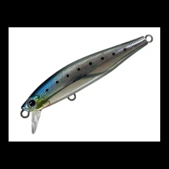 Poisson Nageur Smith Lourdish 95