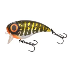 Poisson Nageur Spro Fat Iris 40