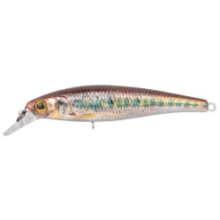 Poisson Nageur Spro Ikiru Jerk 65 FS