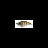 Poisson Nageur Strike Pro Flapjack 75