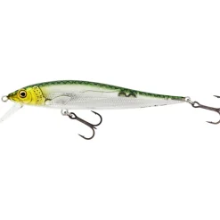 Poisson Nageur Westin Jerkbite SR 9cm