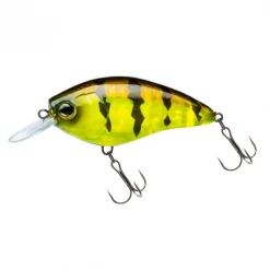 Poisson Nageur Yo-Zuri 3DR X Crank SR F 5cm