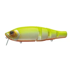 Poissons Nageur Evergreen Royal Flash JR